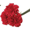 アスカ(Asca) カーネーションバンチ(1束3本) (A-33160-2)【入数:24】