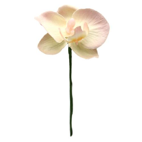 アスカ(Asca) コチョウランピック(S) (A-34237-13)【入数:24】