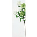 アスカ(Asca) Aー32527 スノーボール×3#011 クリームホワイト【あじさい】【紫陽花】【あじさい】【アジサイ】 (72-32527-11)