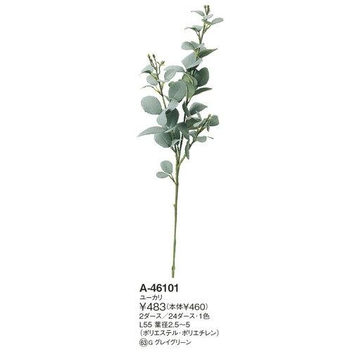 ASCA アスカ ユーカリ【価格変更】 (A-46101-63G)【入数:24】