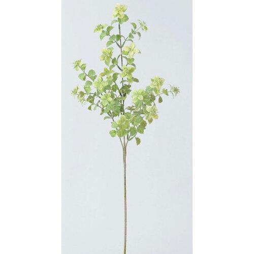 ASCA アスカ ボックスウッドベリースプレー【価格変更】 (A-41227-53A)【入数:24】