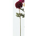 アスカ(Asca) ポンポンマム【価格変更】 (A-31992-2)【入数:24】