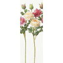 アスカ(Asca) ミニラナンキュラス×2 つぼみ×1【価格変更】 (A-32240-4C)【入数:12】