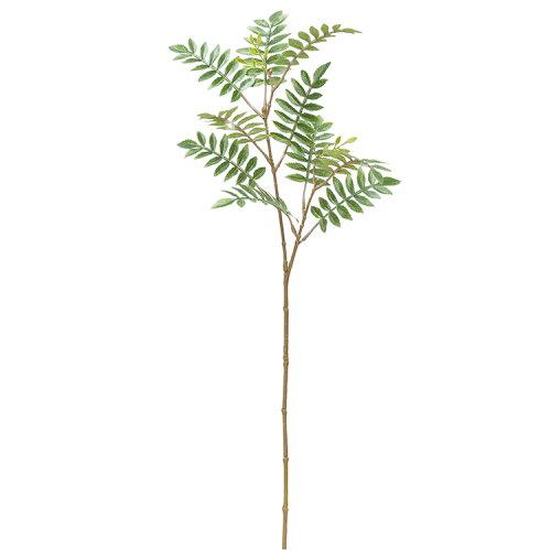 アスカ(Asca) ナナカマド【価格変更】 (A-43956-51A)【入数:24】