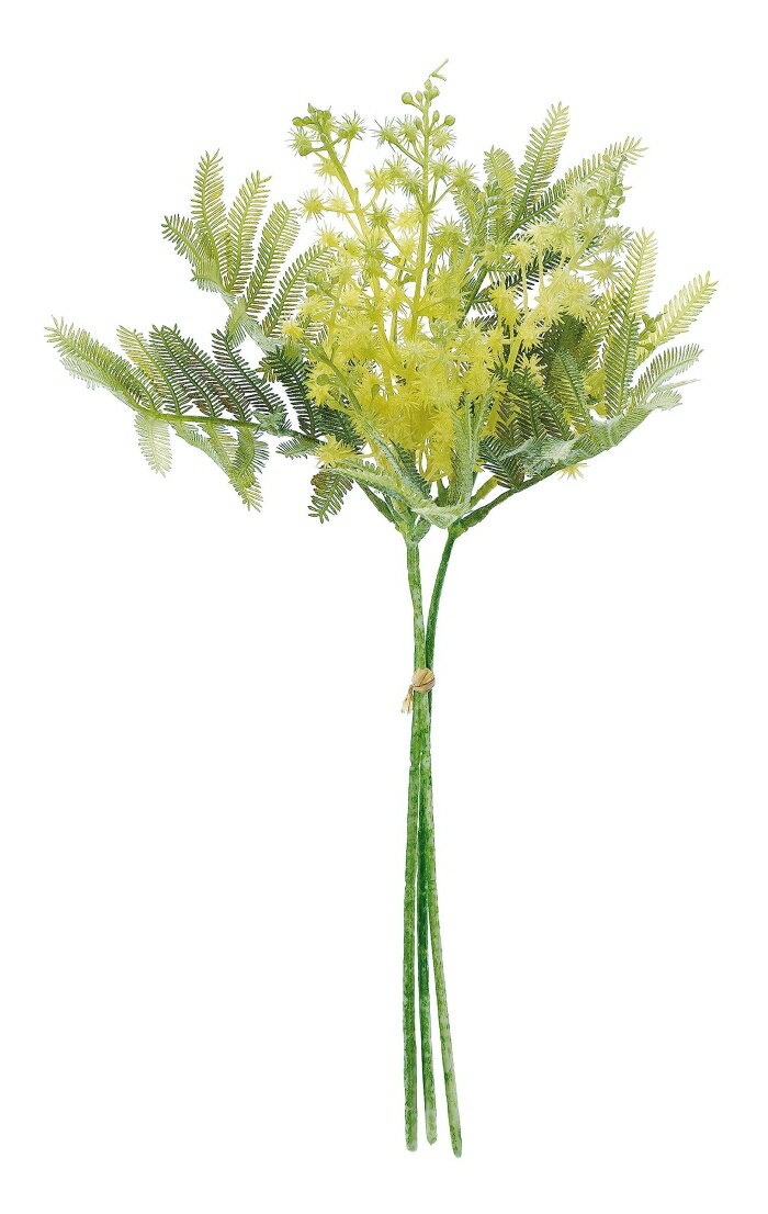 ASCA アスカ ミモザバンチ(1束3本) イエローグリーン (A-34554-10G)【入数:24】