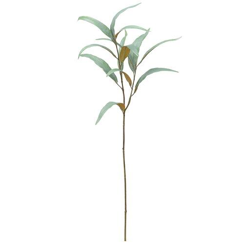 アスカ(Asca) ユーカリ グレイグリーン (A-43950-63G)【入数:12】