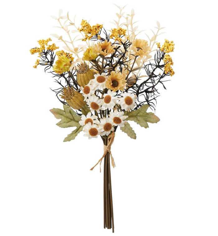 �A�X�J(Asca) �~�b�N�X�t�����[�o���` �~�b�N�X (A-34510-46) ����:24 