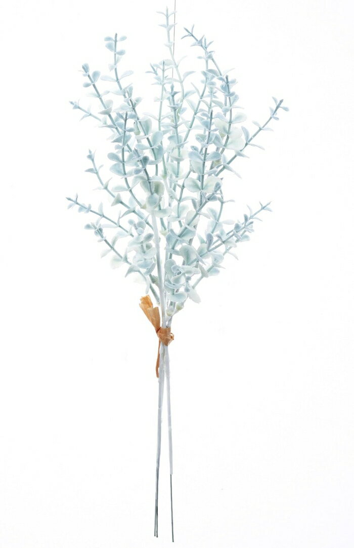 ASCA ������ �ߥ˥桼����Х��(1«3��) �����ե����॰�꡼�� (A-44117-59S)������:24��