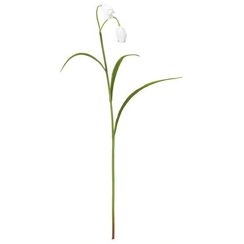 アスカ(Asca) フリチラリア×2【価格変更】 (A-34310-1)【入数:12】