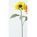アスカ(Asca) サンフラワー【価格変更】 (A-32652-10)【入数:24】