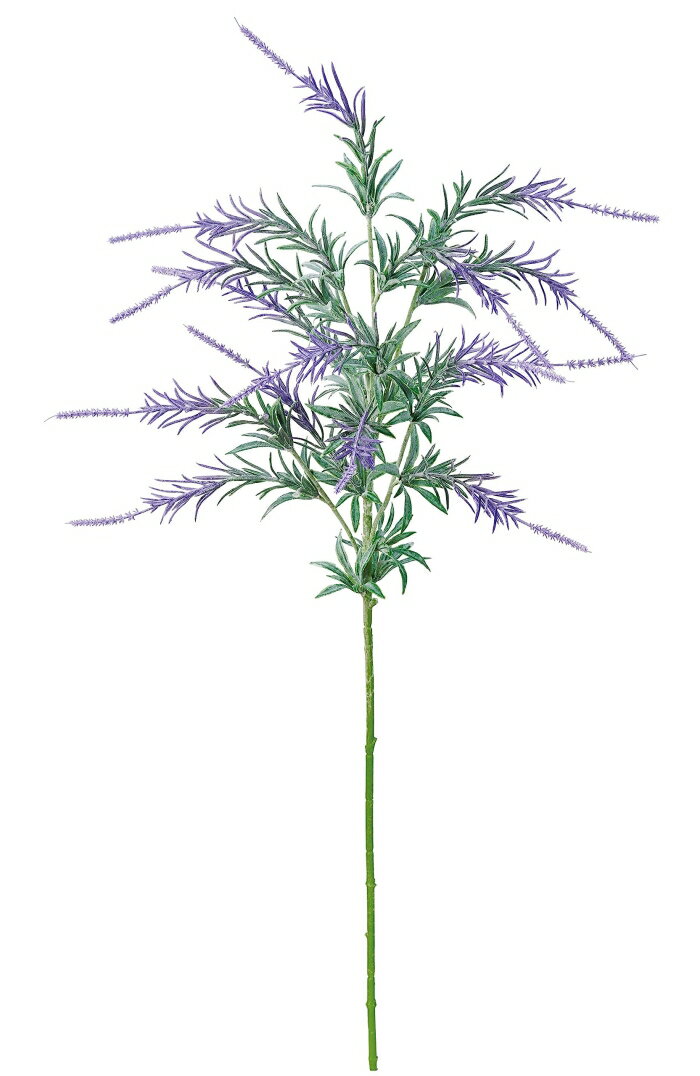 アスカ(Asca) ラベンダー×15 ラベンダー (A-34561-6)【入数:24】