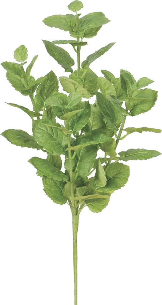 Rakuten - ASCA アスカ ASCA 造花 ミント/グリーン 全長39cm A-43206-051A