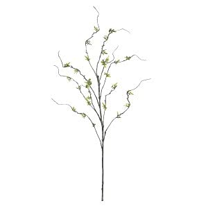 ASCA ������ A��42242 �ƥ����꡼�ե���#051A ���꡼�� (72-42242-51)