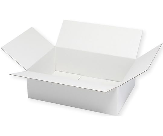 HEIKO 段ボール B4用-120 スリム 白無地 20枚入り (002123303 6415)