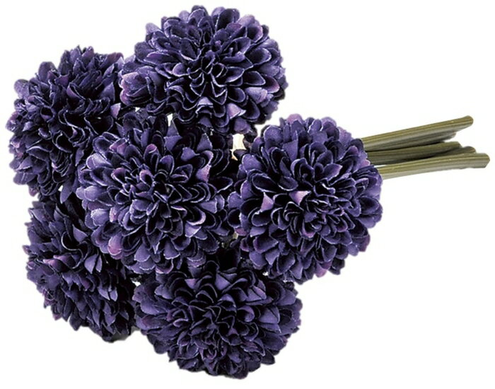 ASCA アスカ ポンポンマムバンチ(1束6本) バイオレット (A-33164-35)【入数:12】