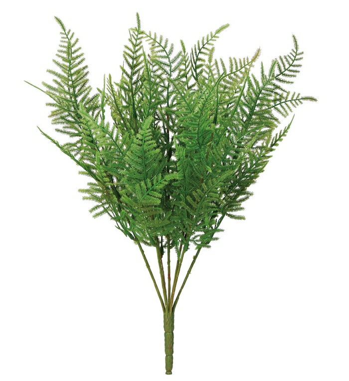アスカ(Asca) ファーンブッシュ ライトグリーン (A-44177-52B)【入数:12】