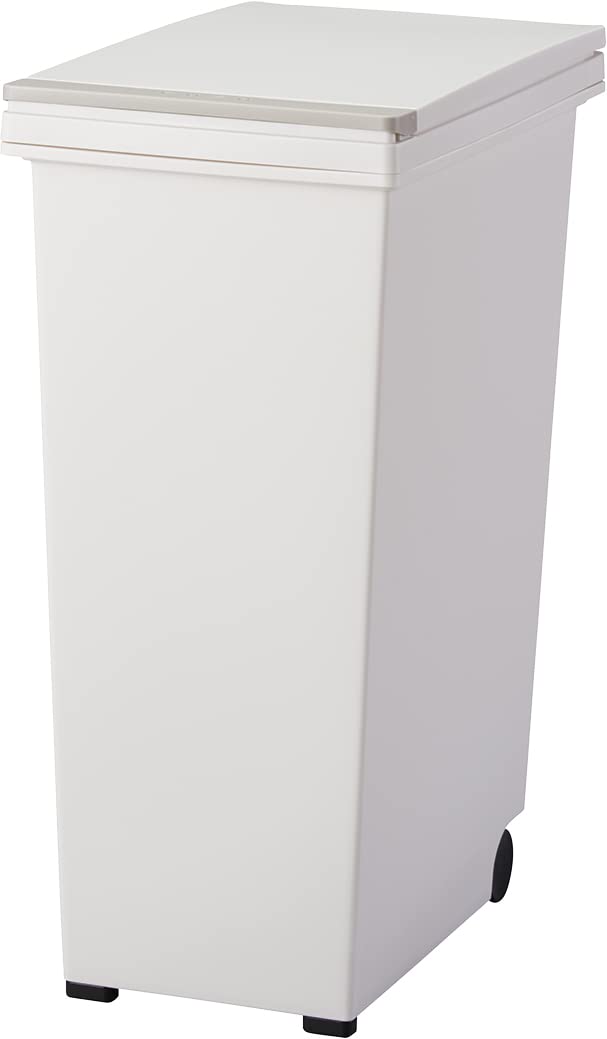 アスベル(Asvel) アスベル エバン プッシュペール30L (601293 1346)