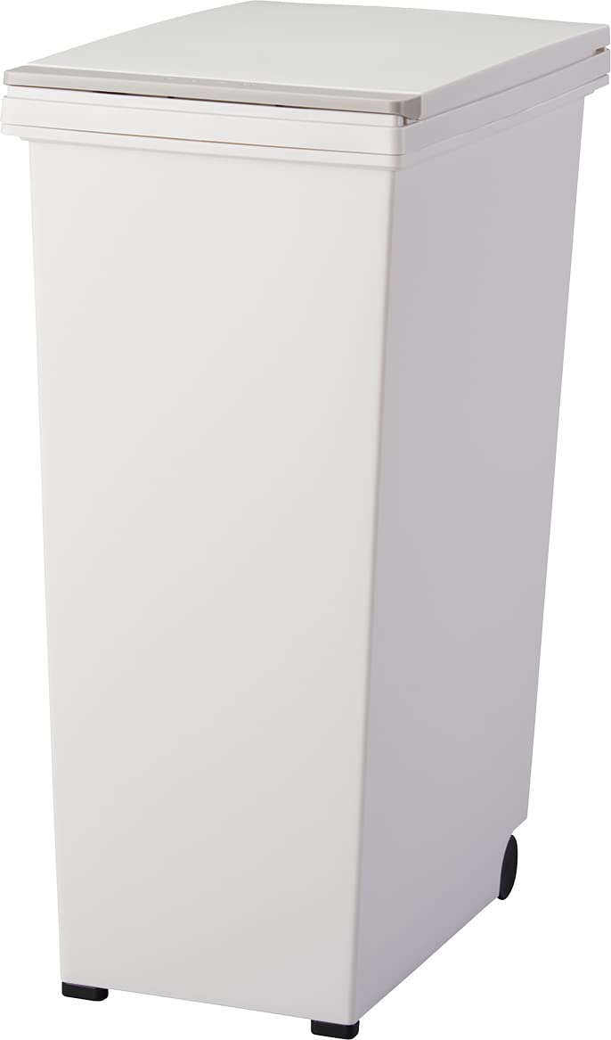 アスベル(Asvel) アスベル エバン プッシュペール45L (601392 1346)