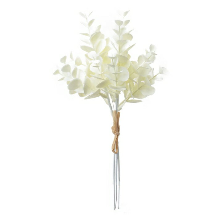 ASCA アスカ ミニユーカリバンチ(1束3本) (A-43856011)