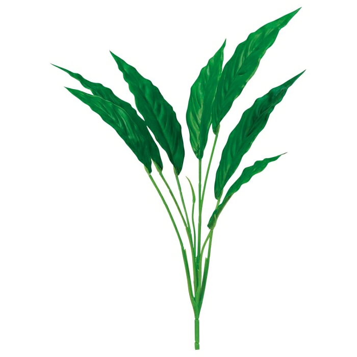 ASCA アスカ ピースリリィブッシュ グリーン (A-44163051A)