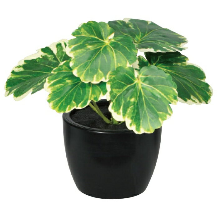 ASCA アスカ A?51085 ゼラニウム(ポット付) (72-51085-153)