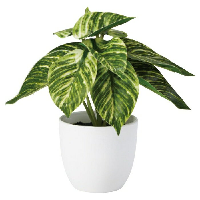 (Asca) A?51100 饸塼(ݥå) (72-51100-151)