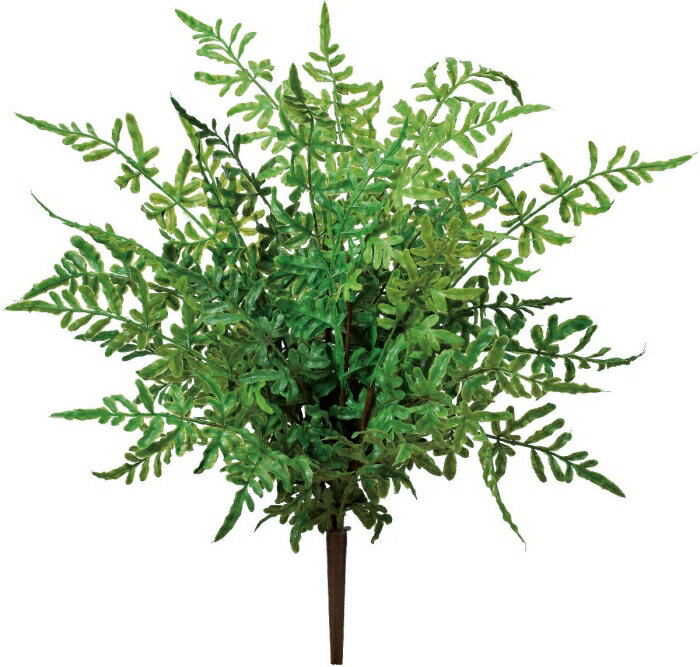 Birth Celebration - ASCA アスカ Aー43476 ファーンブッシュ #051A グリ-ン (72-43476-151)