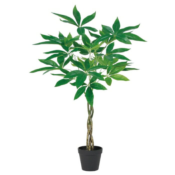 ASCA アスカ A-51064 パキラ(ポット付) #051A グリ-ン (72-51064-151)