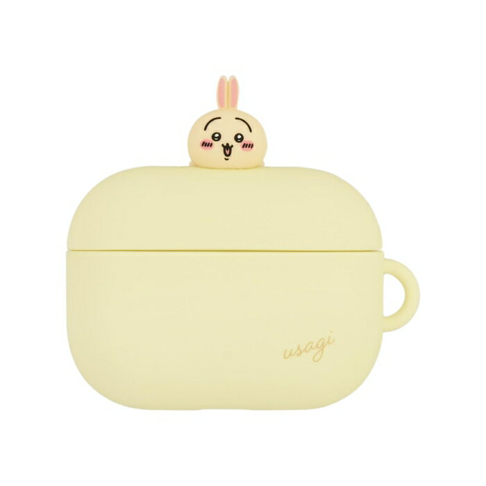 グルマンディーズ チイカワ エアポッズPケー(CK34C)