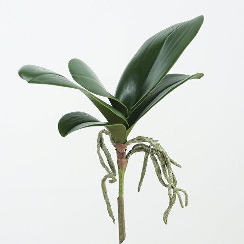 ASCA アスカ Aー42566 オーキッドリーフ#051A グリーン (72-42566-51)