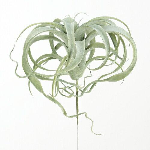 アスカ(Asca) A-42476 キセログラフィカ 51F フロストグリーン (72-42476-51)