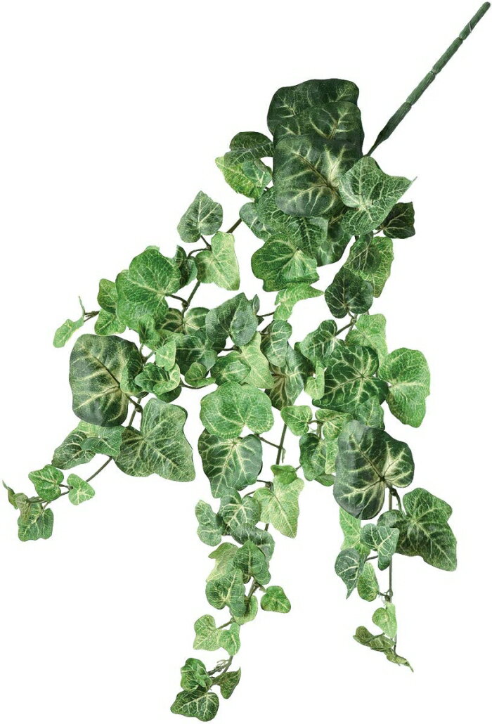 &nbsp;メーカー&nbsp;ASCA アスカ&nbsp;商品カテゴリ&nbsp;フラワー・観葉植物＞造花&nbsp;発送目安&nbsp;2日〜3日以内に発送予定（土日祝除）&nbsp;お支払方法&nbsp;銀行振込・クレジットカード&n...