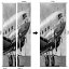 4563rz5の画像