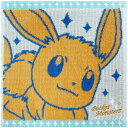 林(Hayashi) ポケモン タオルハンカチ イーブイ 0 PN200800