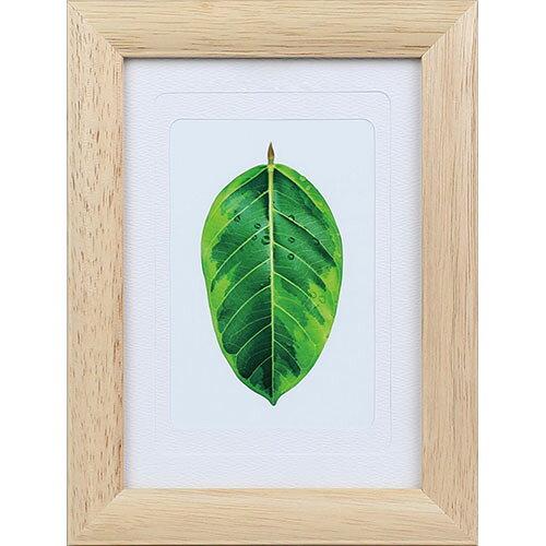 ケンコー・トキナー 写真立て　ゴムの木　L・ハガキ・2L兼用　ナチュラル PS-GM-NA 1箱