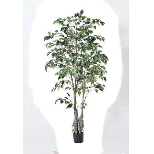 アスカ(Asca) A50866051A フェイクグリーン ファイカスツリー グリーン A-50866-051A