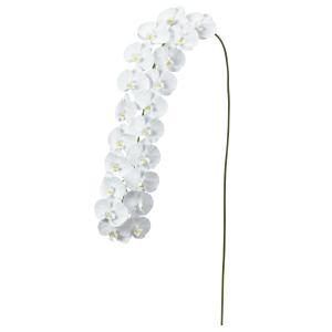 ASCA アスカ A-34098 コチョウラン×20 1 ホワイト (72-34098-1)