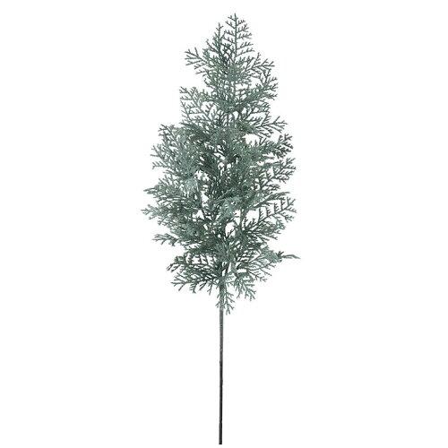 ASCA アスカ シーダースプレー (AX67979)