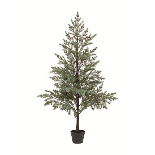 アスカ(Asca) パインツリー(ポット付) (AX60732-000)