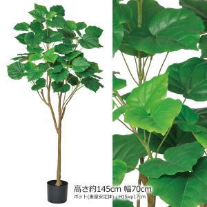 アスカ(Asca) A-51039 ウンベラータ(ポット付) #051A グリーン (72-51039-151)