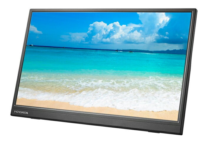 IODATA アイオーデータ LCD-YC172AX 17.3型フルHD対応モバイル液晶 1920×1080 miniHDMI USB タイプC×2