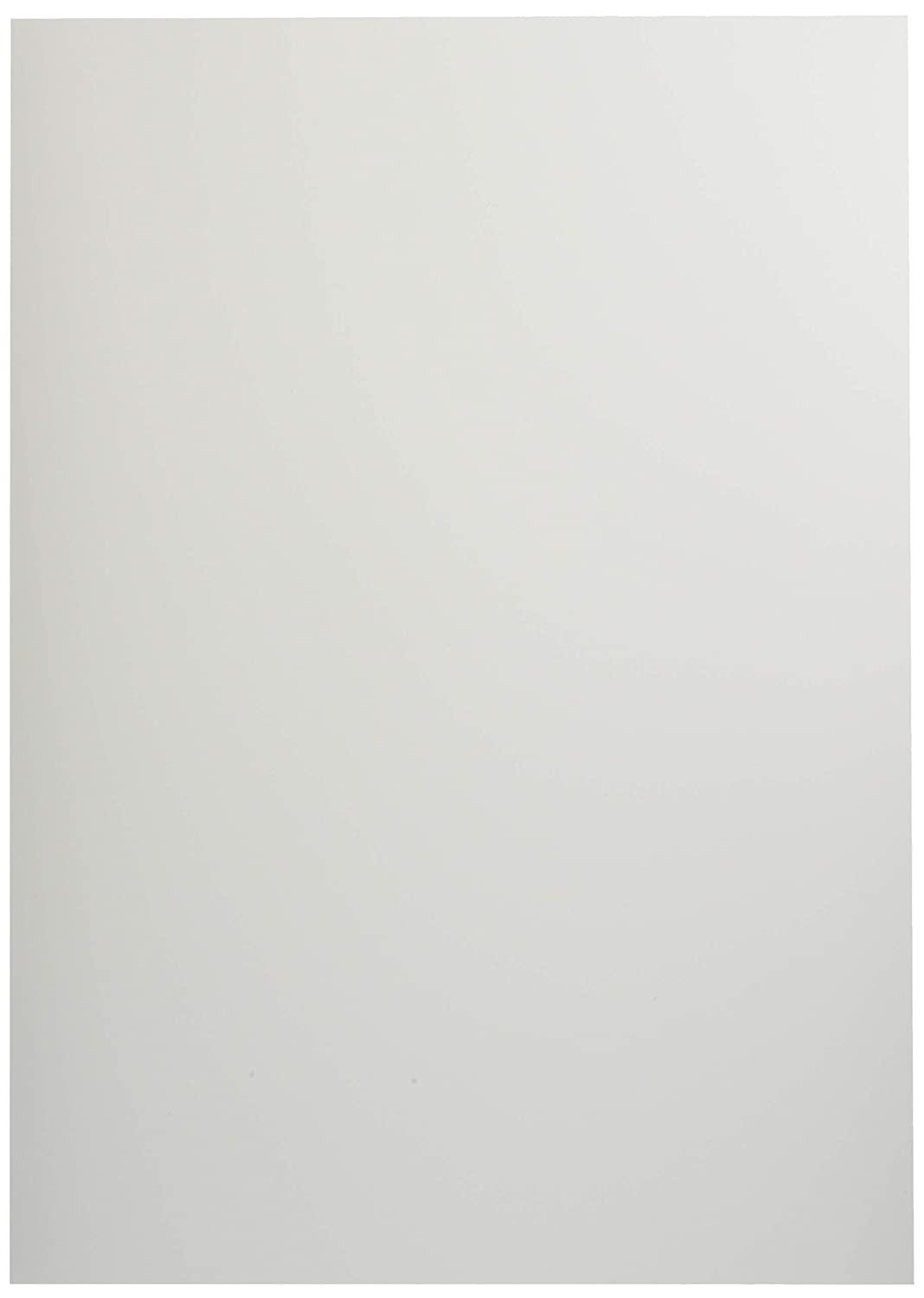 ダイオーポスタルケミカル(DPC) レーザーピーチ 耐水紙 厚手片面 SEFY-200 SRA3 100枚