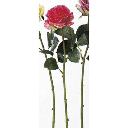 アスカ(Asca) Aー31828 ローズ#022 ビューティ【薔薇】【ばら】【バラ】 (72-31828-22)