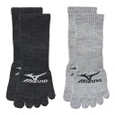 MIZUNO(ミズノ) ミズノ ミズノワーク強靱引揃12丈5本指サポート吸汗速乾2P24-26アソート (6897102500 7217)