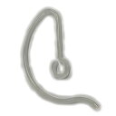 アルインコ(ALINCO) アルインコ EME21・32・39・41・43A用耳掛け3本セット (AD006 1014)