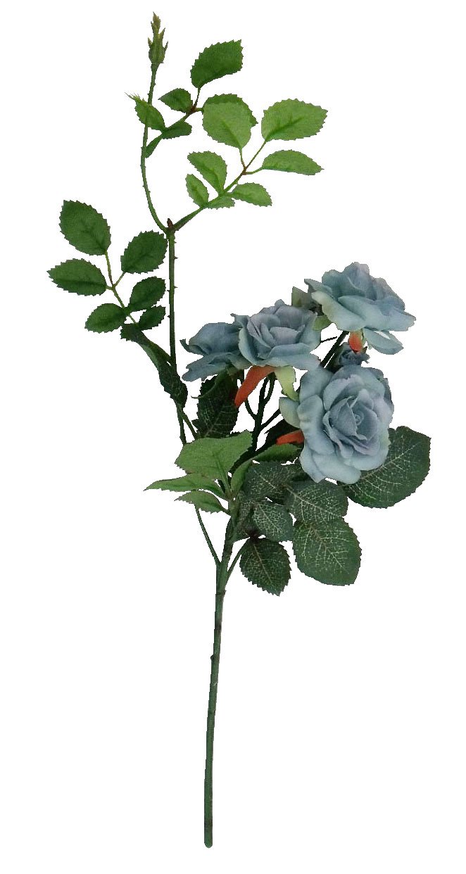 ASCA アスカ ローズピックX7 (A-36112019)