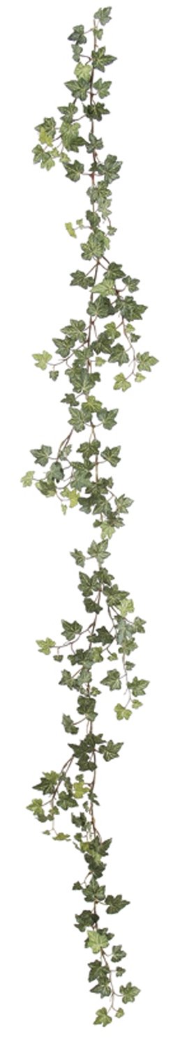 ASCA アスカ アイビーガーランド (A-42459051A)