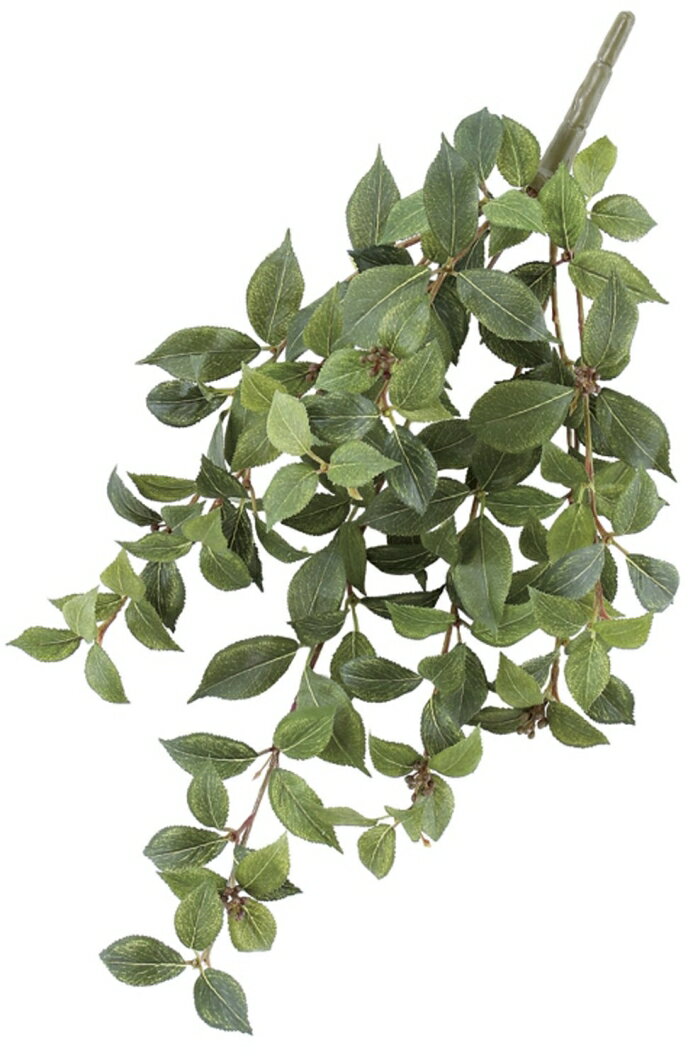 ASCA アスカ マウンテンアッシュハンギングブッシュ (A-42519051A)