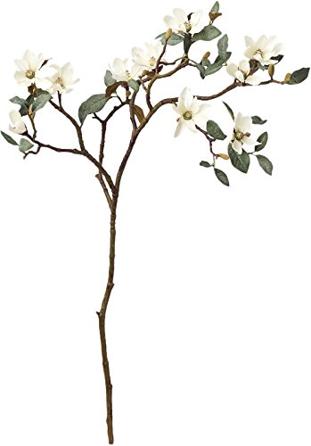 ASCA アスカ マグノリアX10 つぼみX16 (A-33363011)