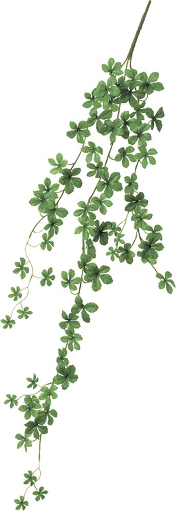 アスカ(Asca) ミニシサスアイビーバイン (A-43082052B)